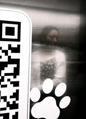1000016935