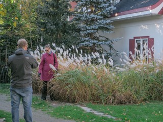canada 061