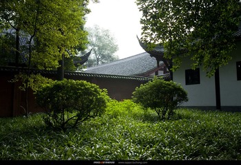 _MG_5918_nEO_IMG