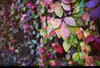_MG_67272_nEO_IMG