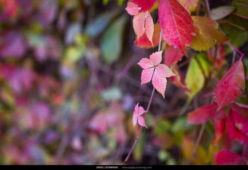 _MG_6724_nEO_IMG