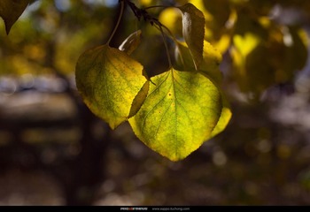 _MG_6813_nEO_IMG