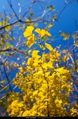 _MG_6820_nEO_IMG
