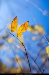_MG_6854_nEO_IMG