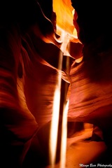 IMG_8142.jpg