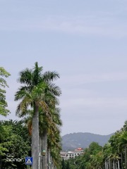 2906178