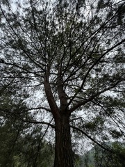 CB883932-1949-45B4-89D0-9329B5D76ED3/L0/001
