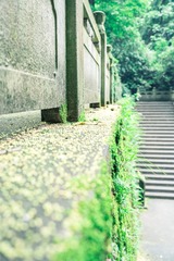 D921756F-A42F-4A66-92F1-DDAB2E08DB8B/L0/001