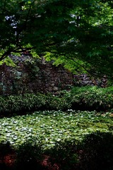 118C7304-B9F2-4EFD-B476-B6F495F2F6ED/L0/001