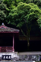 9B2E11F5-89F3-4E10-A17D-C9B636F0EDE1/L0/001