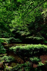 2A6F0BDF-3B57-49D1-B2AB-920348F859E0/L0/001