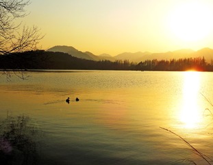 3ED5B9CE-5DAA-406D-BFA8-CA2E25963189/L0/001
