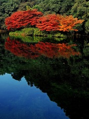 81F34616-BD2B-41AA-8B1B-510D144AC017/L0/001