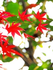 0C571070-BD23-4FB1-A9F6-3DABE5F32D08/L0/001