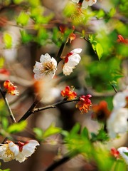 6373FA4B-BBAF-4772-913C-72924EA93F16/L0/001