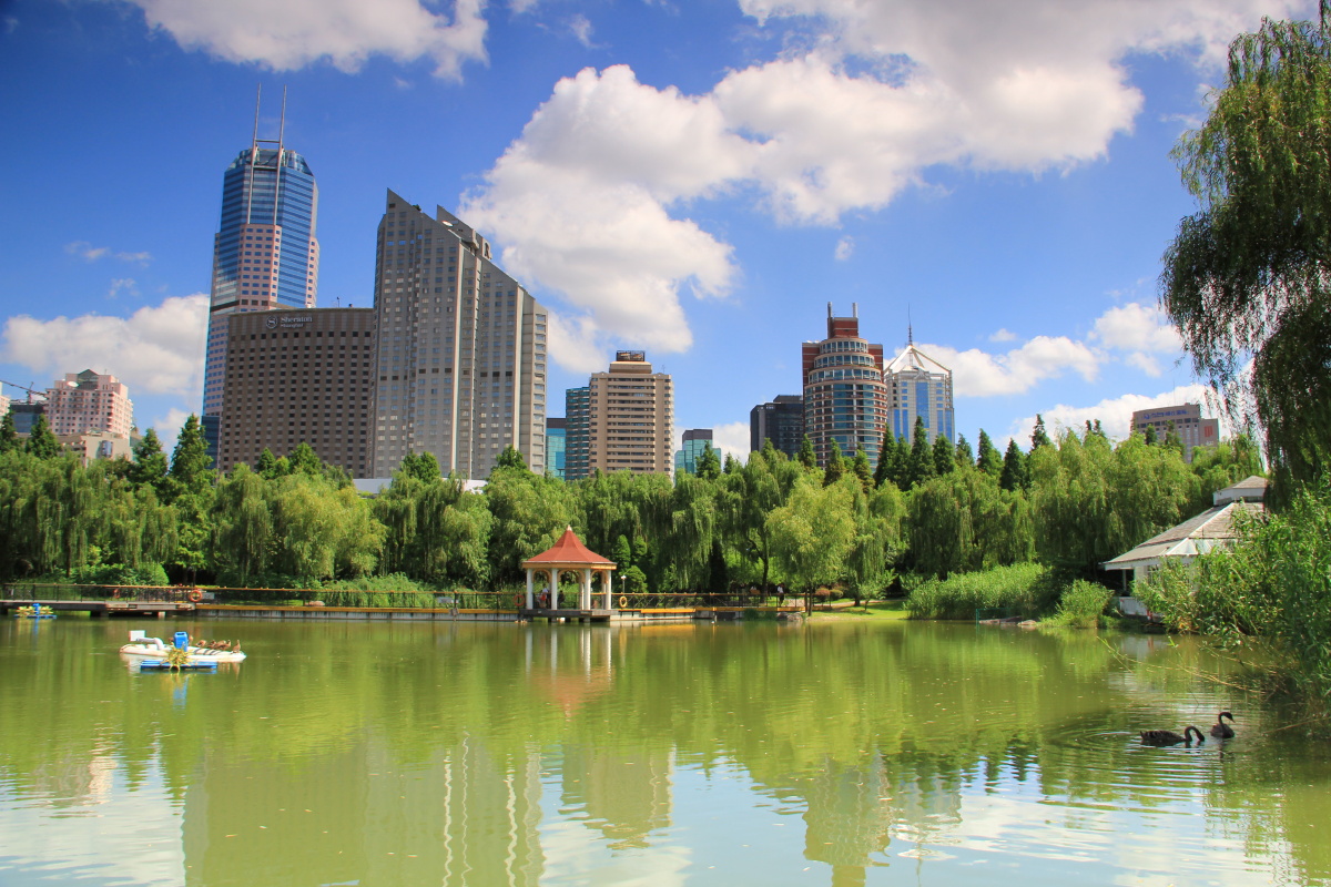 新虹桥公园风景