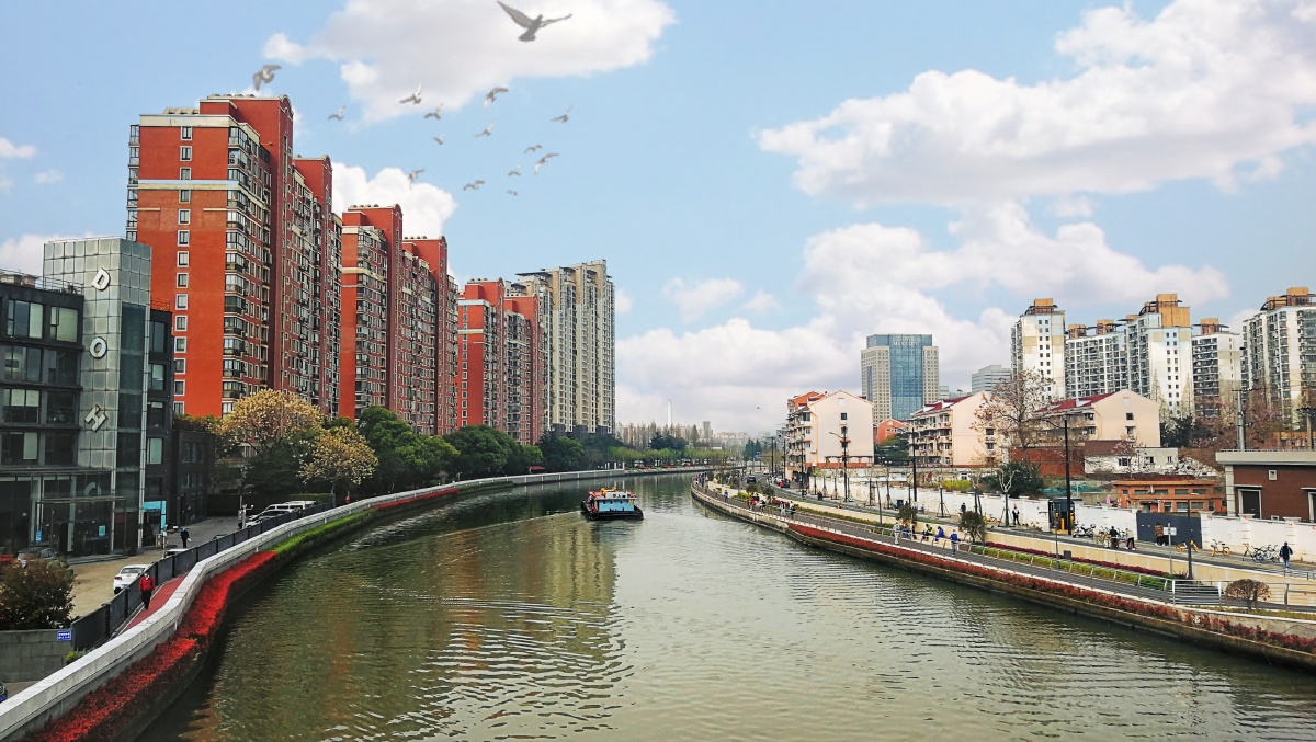 风景摄于周家桥强家角