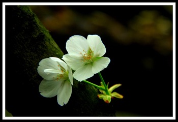 IMG_2203-002_可牛看图(1)
