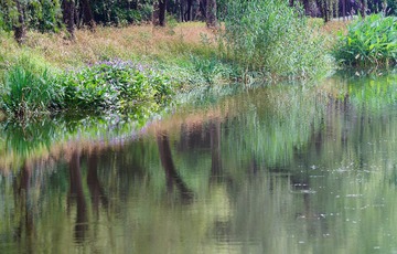 DSC02127__