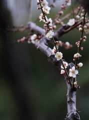 DSC05458c_