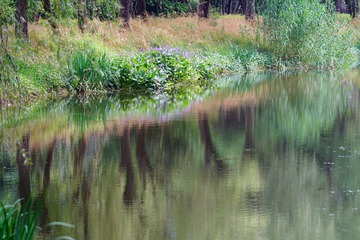 DSC02130_
