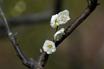DSC05574_