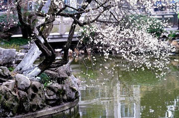 DSC05464_