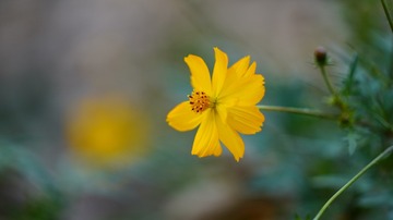 DSC05098_