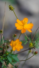 DSC05125_