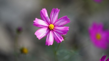 DSC05121_