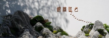 DSC00153B