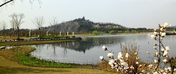 IMG_0453A