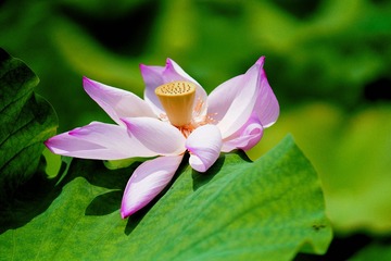 DSC02620_