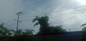 1268021