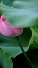 A545E7C4-D715-45DF-A065-27685280768F/L0/001