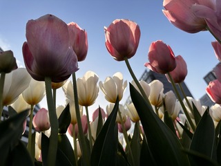 FA98CD40-1E37-483C-BC4A-1426989B4B18/L0/001