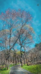 D3CB2DC5-F383-44D2-897E-2810539518DC/L0/001