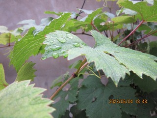 9889B0B3-EAC8-4D77-85D0-CD527E3E13DF/L0/001