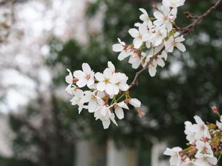 85D2BADF-67C5-4A18-AE45-C7F1C3757212/L0/001