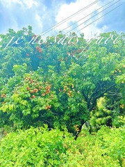 8EE193B9-DB3B-4265-87D6-4993063750C8/L0/001