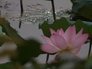 P6071712