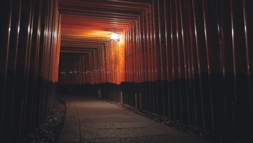 445806