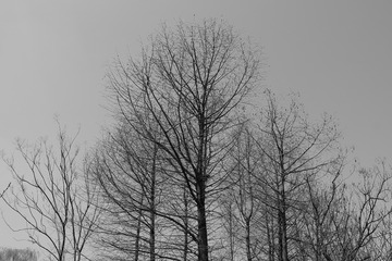 1000222216