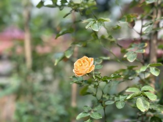 67FA5D78-C400-4AB2-A2A9-6CB0501D6178/L0/001