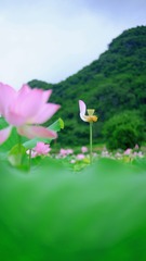 D8C3029B-844E-4AEC-BA1A-BC2C512A9730/L0/001