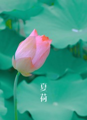 E39D6FC2-B667-4B72-B0CC-3BE3805B3459/L0/001