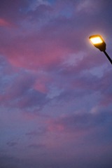 EF086A51-59B9-41D5-9E34-FFB89C57AE74/L0/001