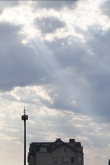 1000009061