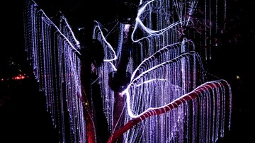00F98A93-DAEC-4B56-897A-AB9E35D85AEC/L0/001