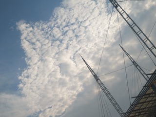 1556470